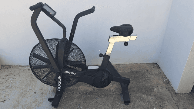 Rogue Echo Bike/Assault Bike